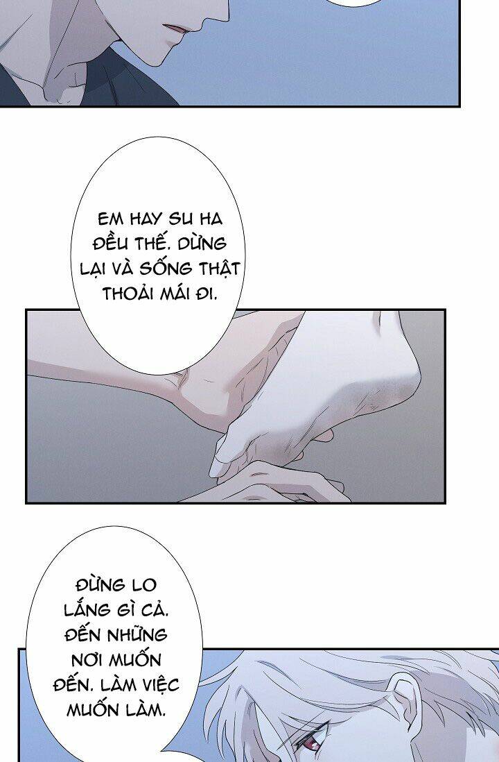 trốn tìm chapter 28 40