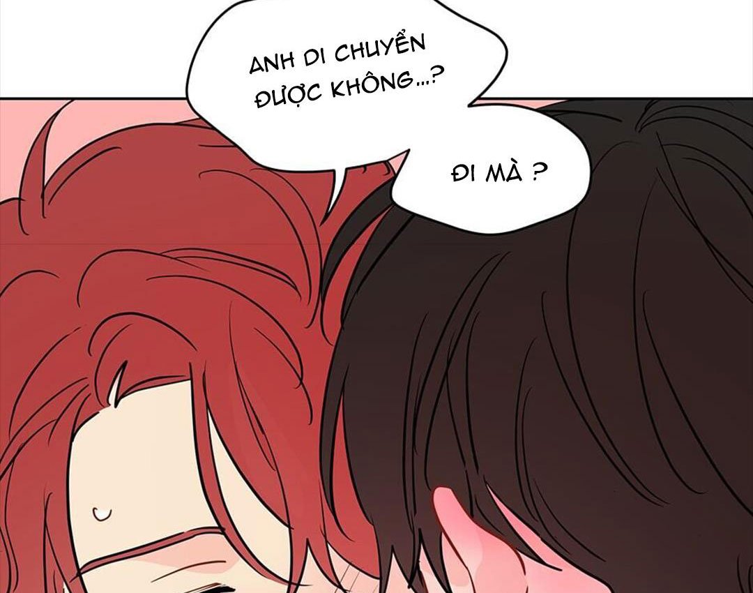 chuyện quái gì với giấc mơ đó vậy chapter 39 101