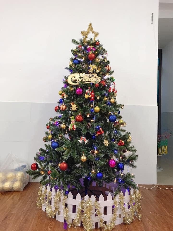 Cây thông noel 3 loại lá gắn trái thông cao 240cm