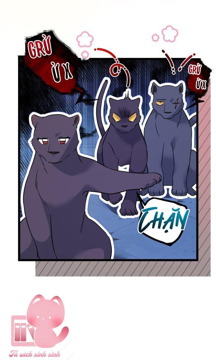 quan hệ cộng sinh giữa báo đen và thỏ trắng chapter 108 15