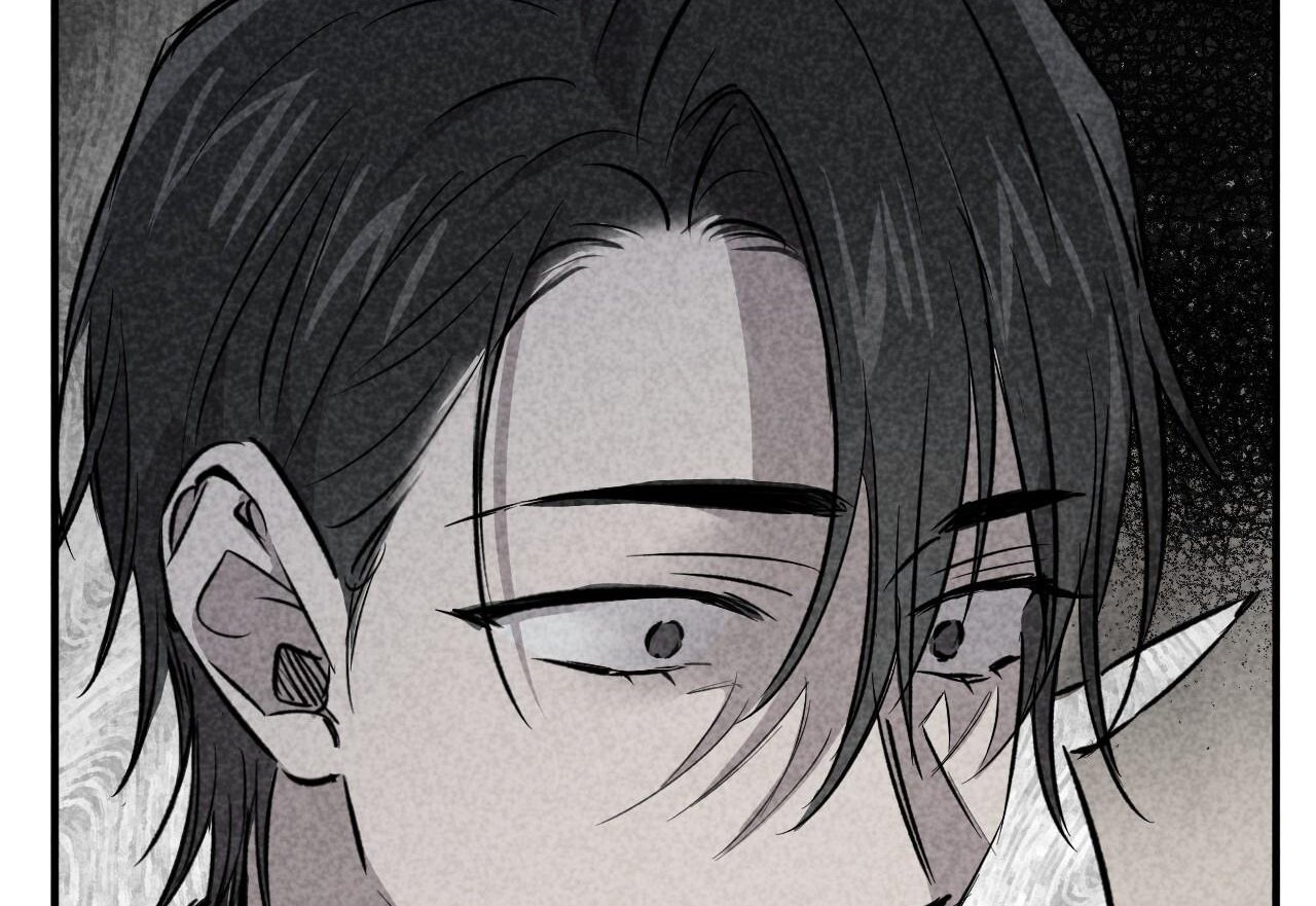 những chú thỏ của hapypy chapter 59 265