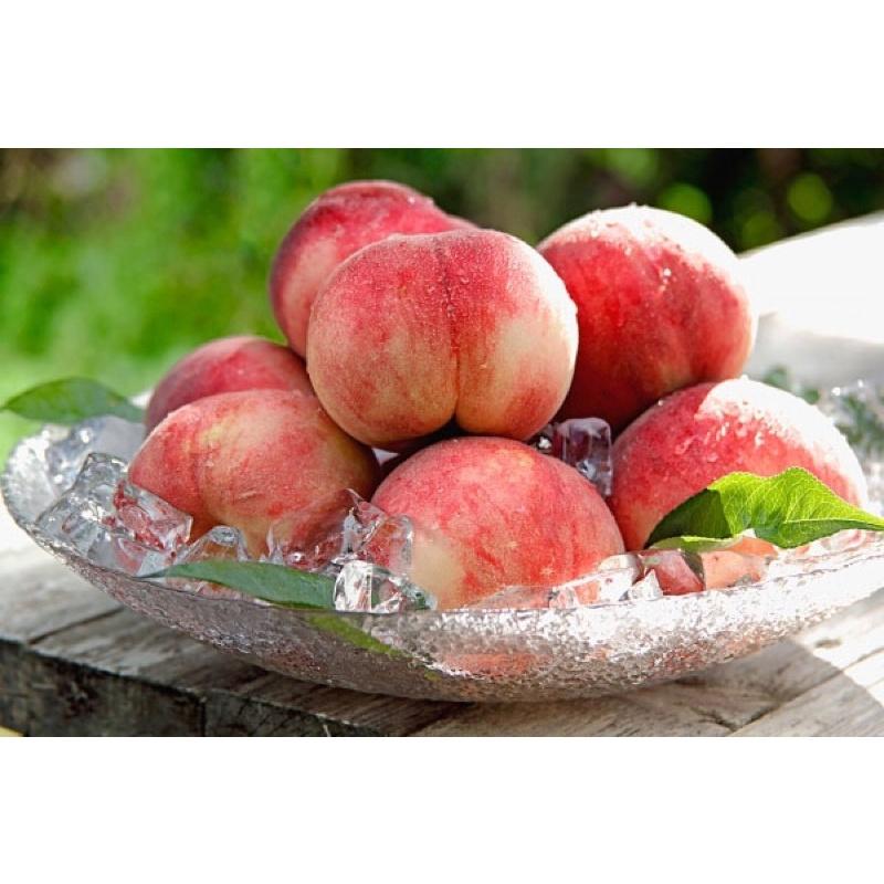 Cây giống đào tiên Nhật Bản, đào ăn quả chịu nhiệt tốt.