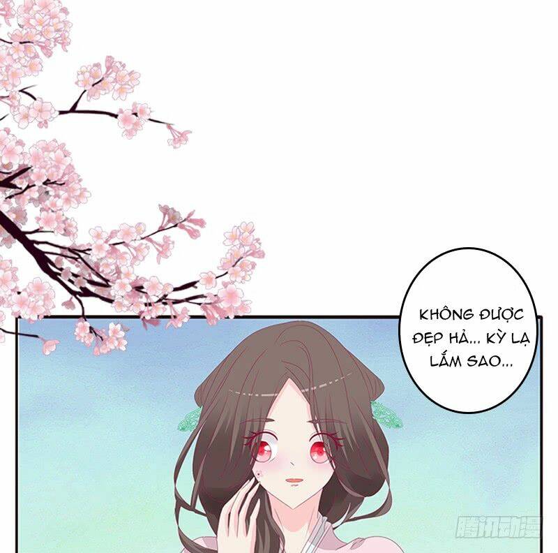 tướng quân mời ra trận chapter 104 19