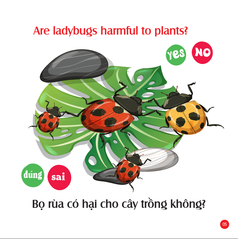 Hình ảnh Mẹ Hỏi Bé Trả Lời Tập 1 - Sách song ngữ Anh Việt rèn luyện trí thông minh, phát triển ngôn ngữ cho bé