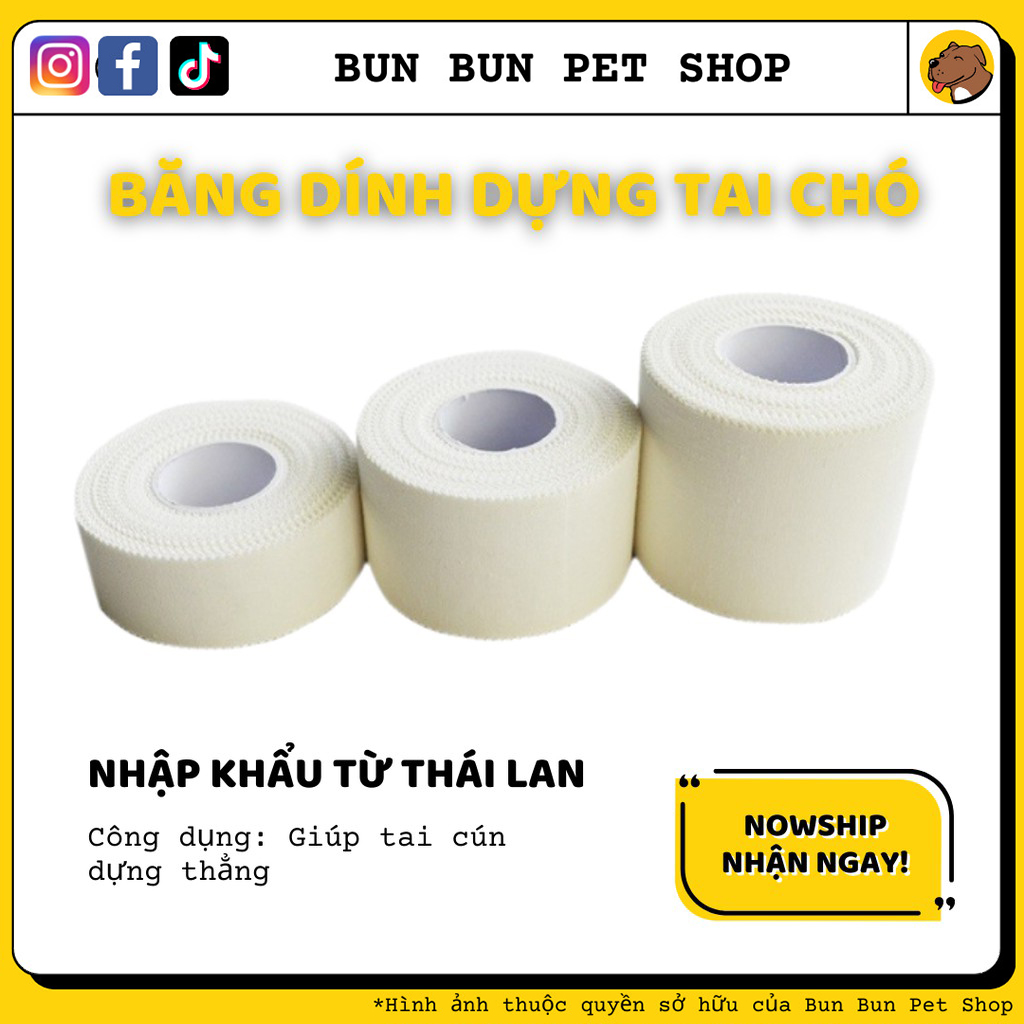 Băng dính dựng tai cho chó Thái Lan
