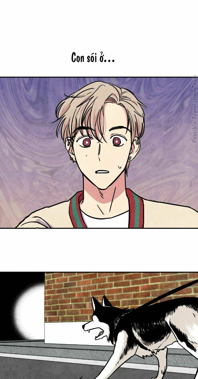 tai sói và mũ đỏ chapter 28 41