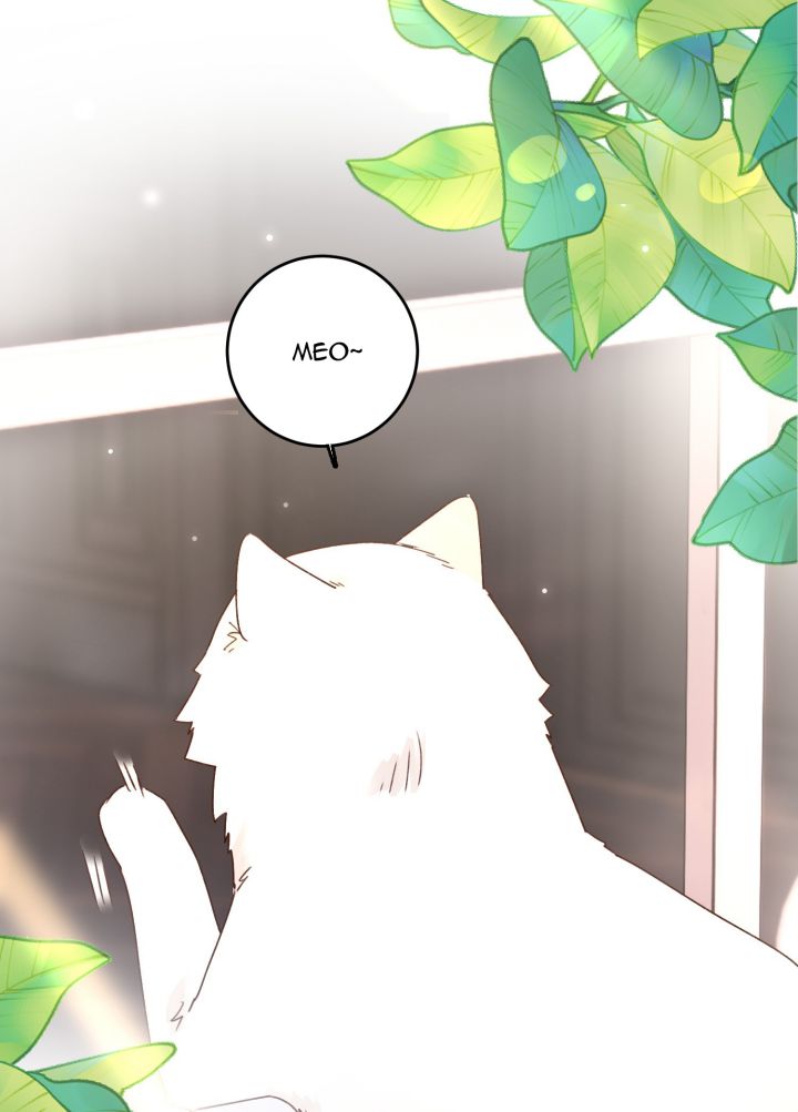 tôi phải làm 1 kẻ đại xấu xa chapter 15 1