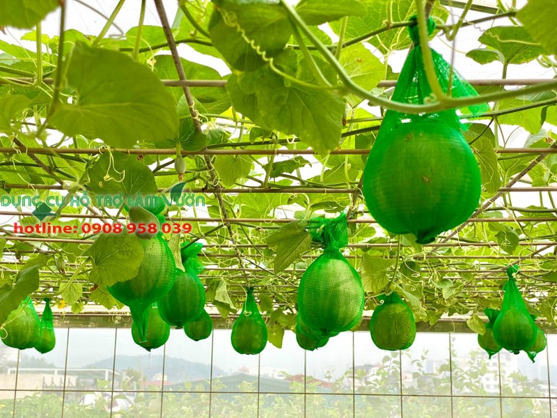Túi lưới 45cm gói 500gram
