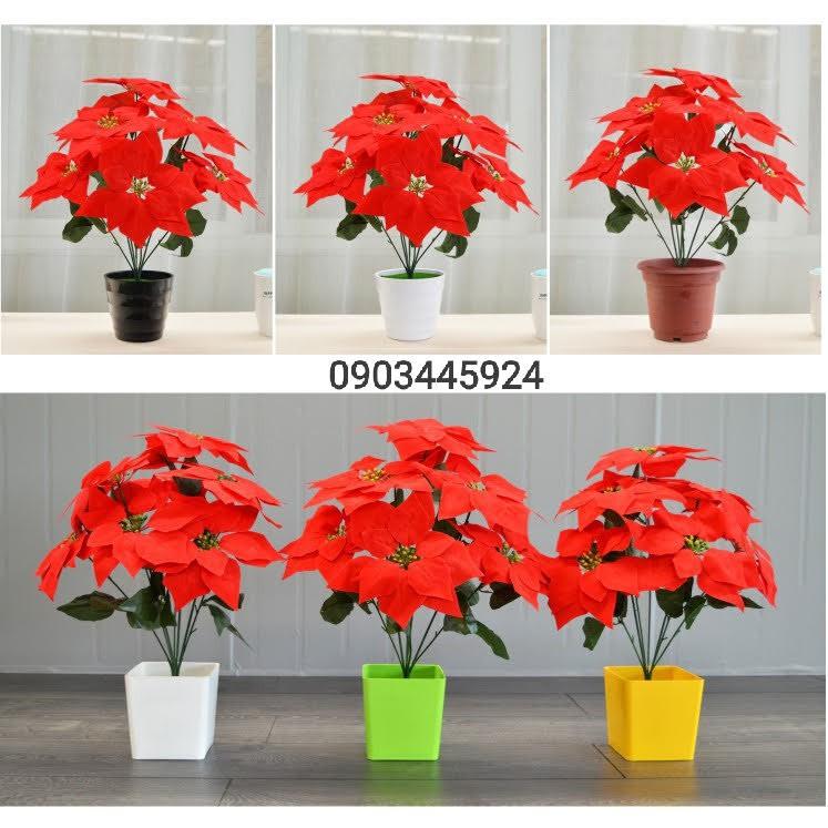 Cây Trạng Nguyên Nhựa Pvc