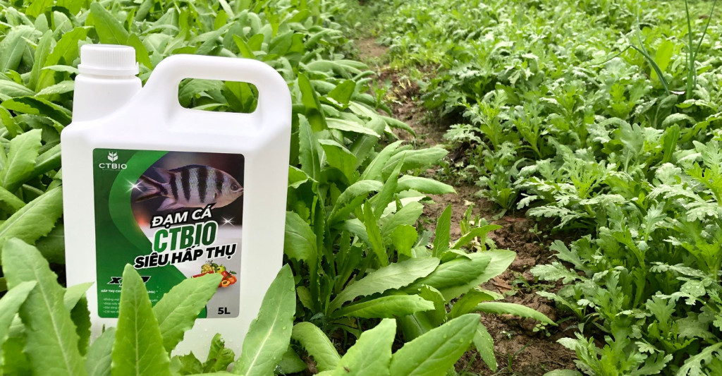 Đạm Cá Hữu Cơ CTBIO Nguyên Chất - Mùi Thơm - Dinh Dưỡng Tự Nhiên cho rau hữu cơ, cây cảnh, hoa quả sạch tại nhà.