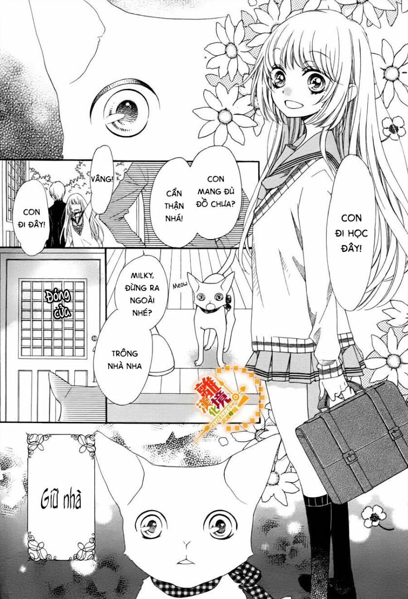 the romantica clock chapter 41.4 11