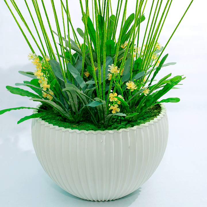 CHẬU HOA GIẢ CÚC BOXI