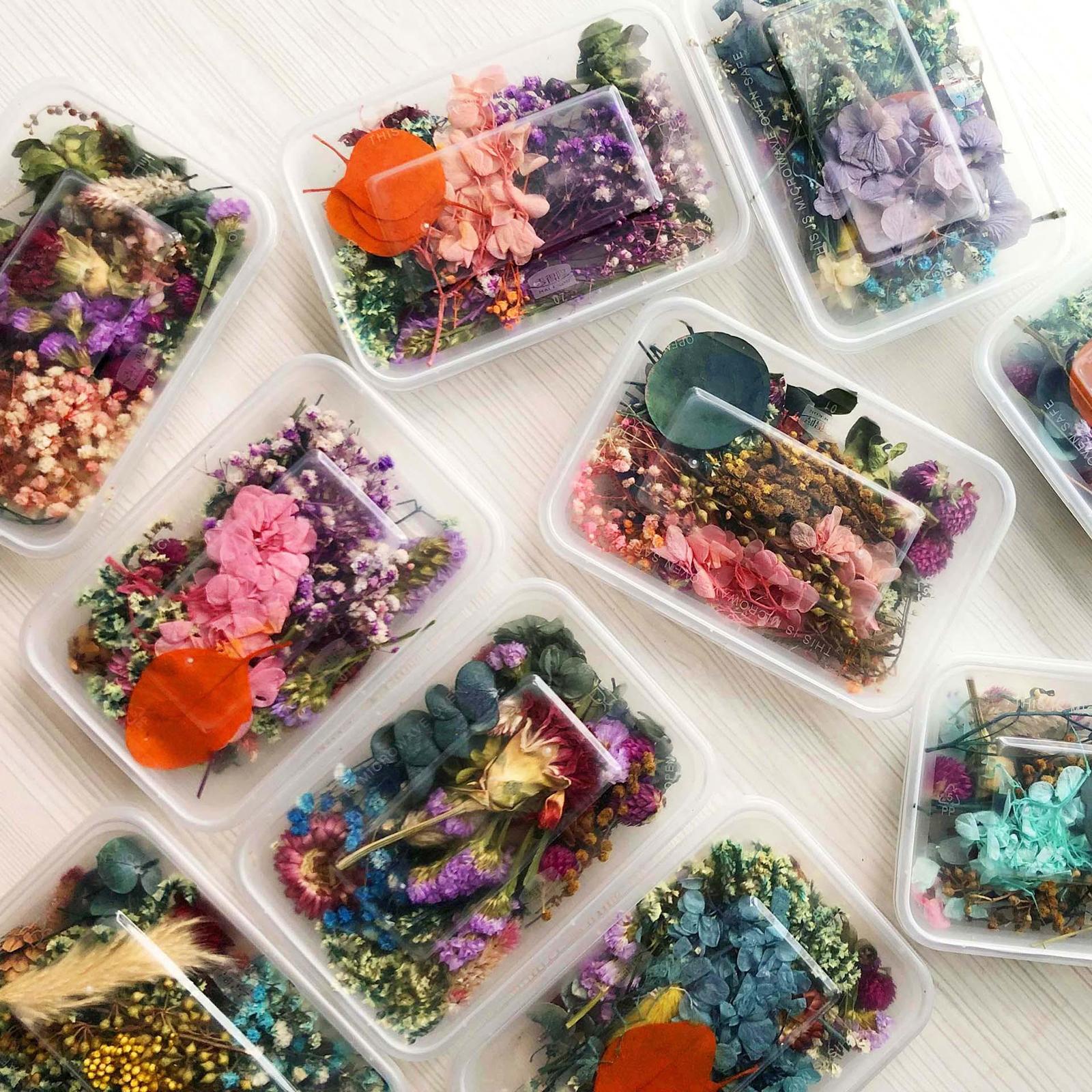 1Box Mix Natural Real Pressed Dried Flowers Petals Leaves Crafts Card Making