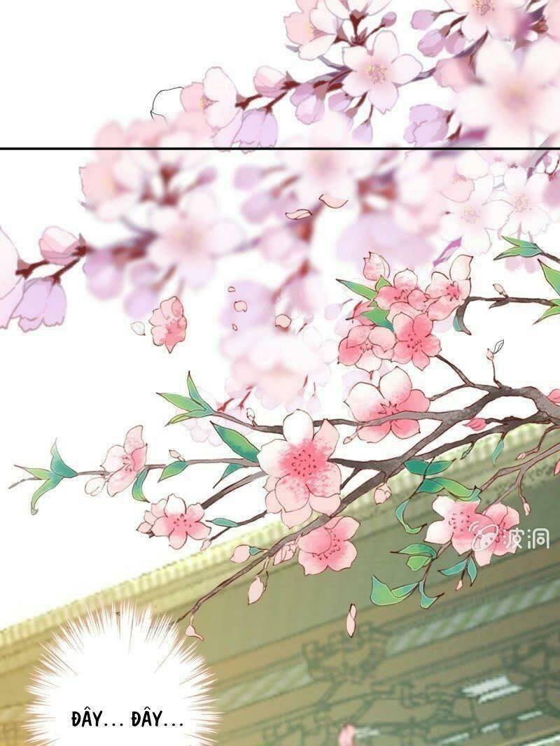 vương gia kiêu ngạo quá khó cua chapter 44 11