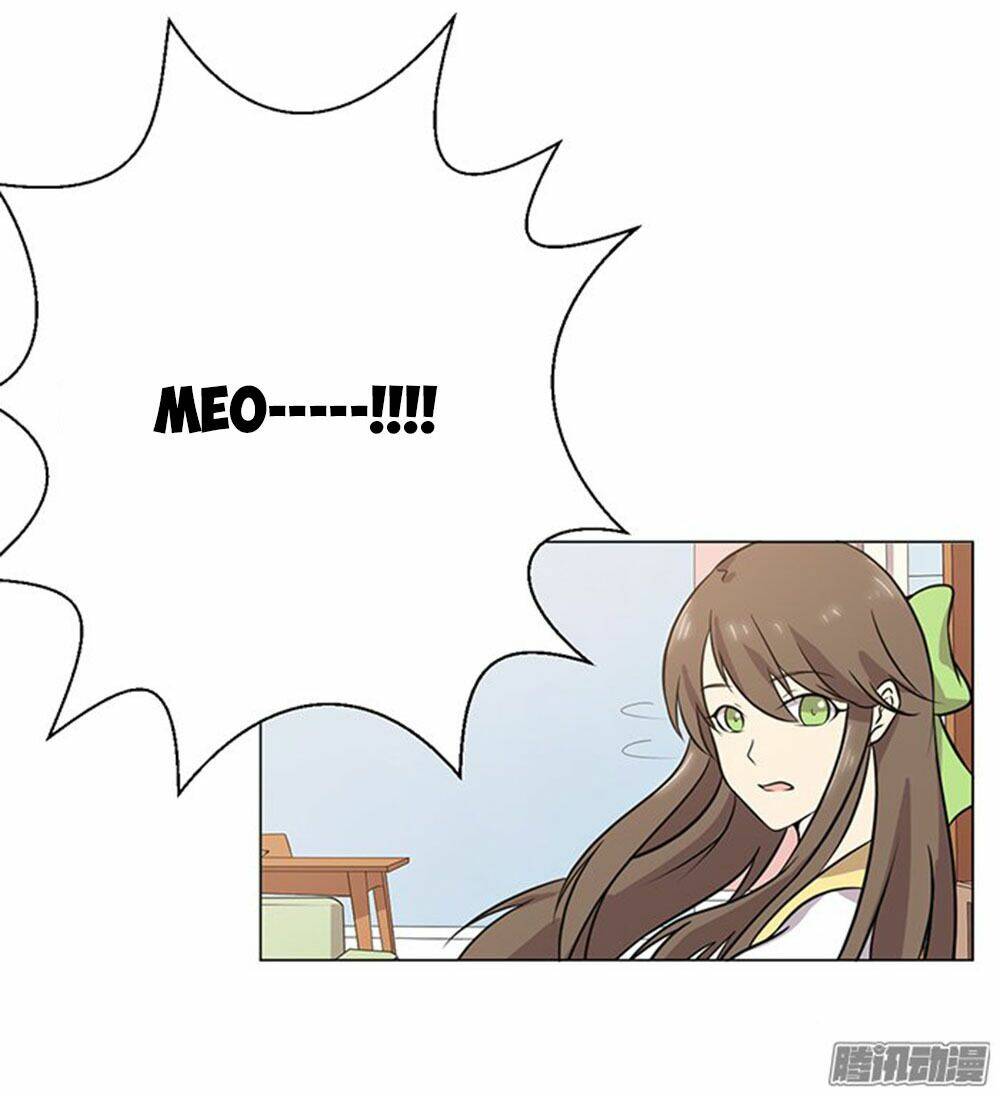 hai chú mèo totem chapter 39 47