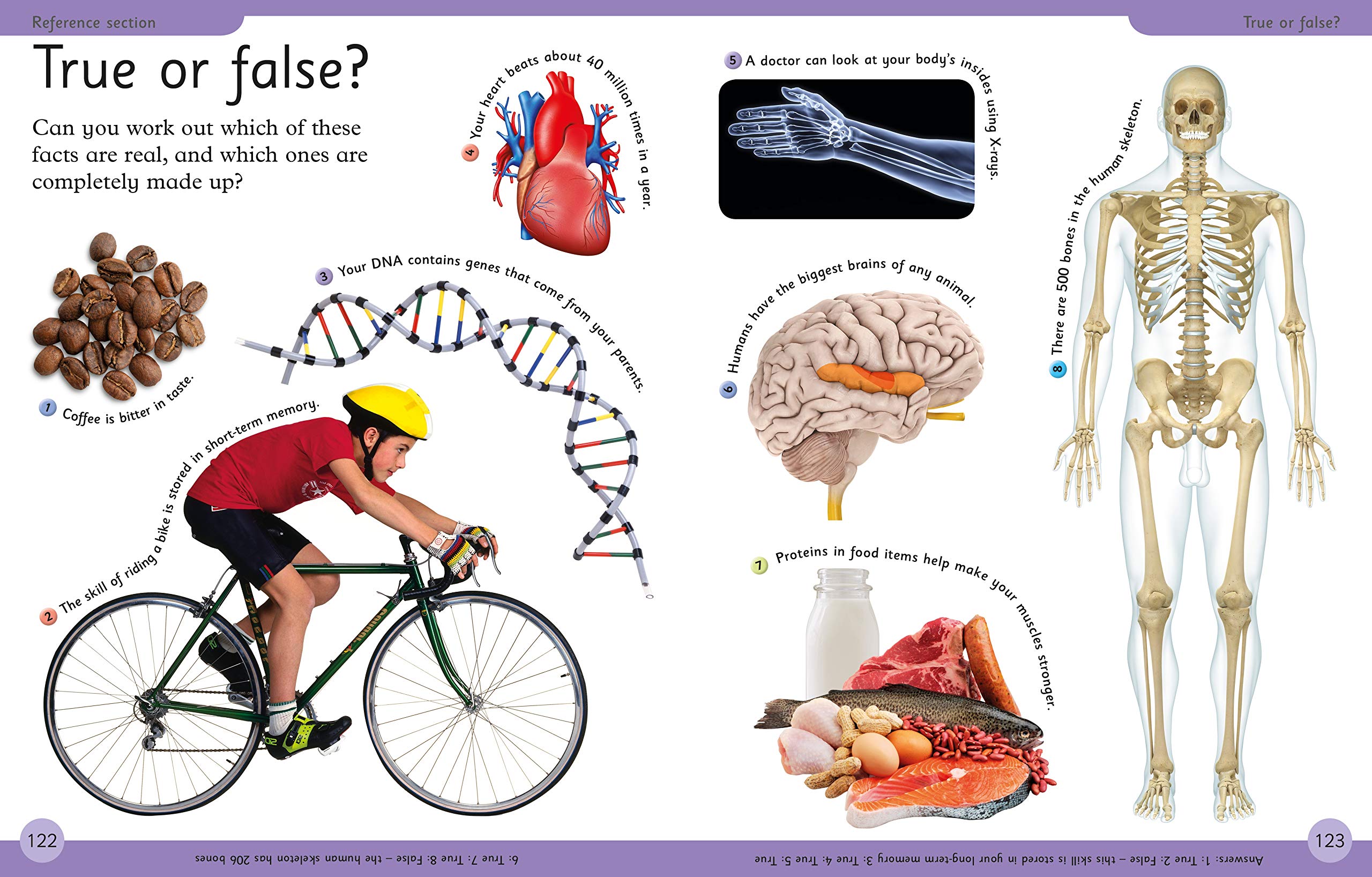 Sách First Human Body Encyclopedia