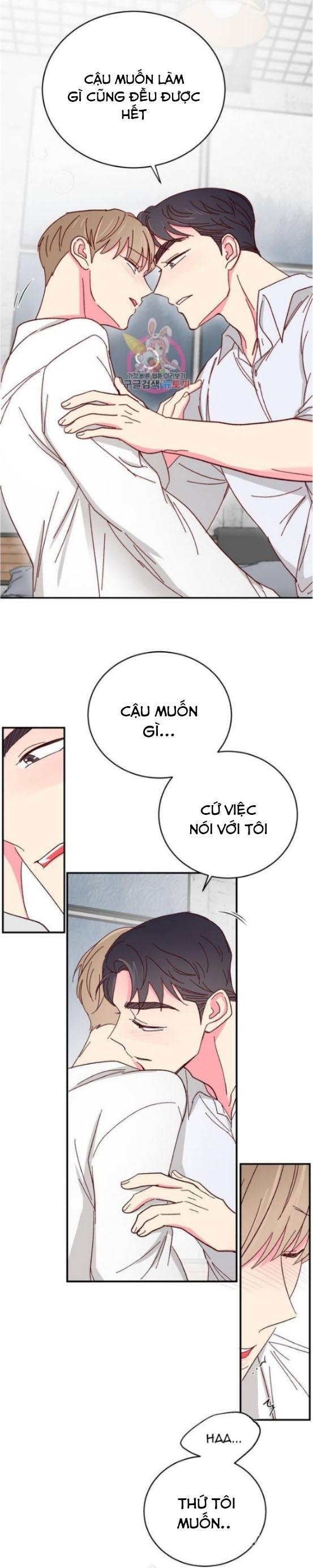 món tráng miệng của sếp tổng chapter 61 3