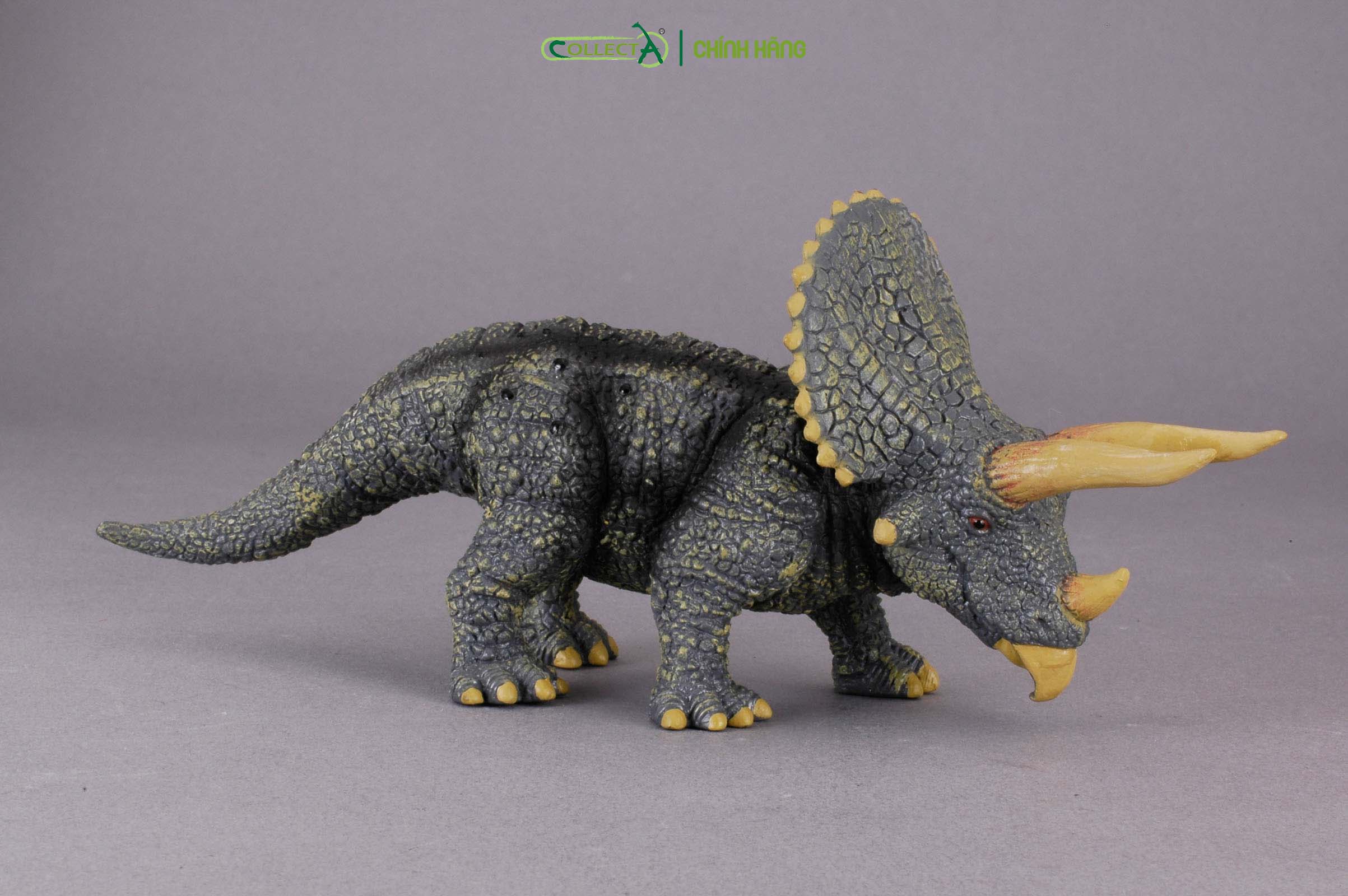 Mô hình thu nhỏ: Khủng Long Triceratops  - Triceratops, hiệu: CollectA, mã HS 9654020[88037] -  Chất liệu an toàn cho trẻ - Hàng chính hãng