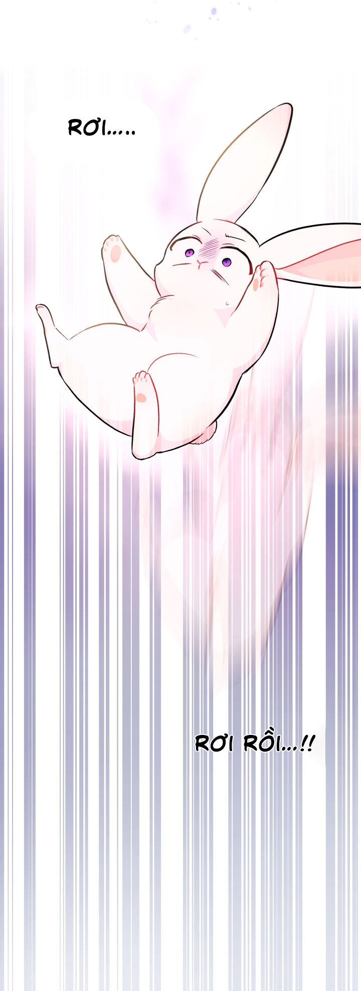 mối liên kết giữa báo đen và bé thỏ chapter 14 40