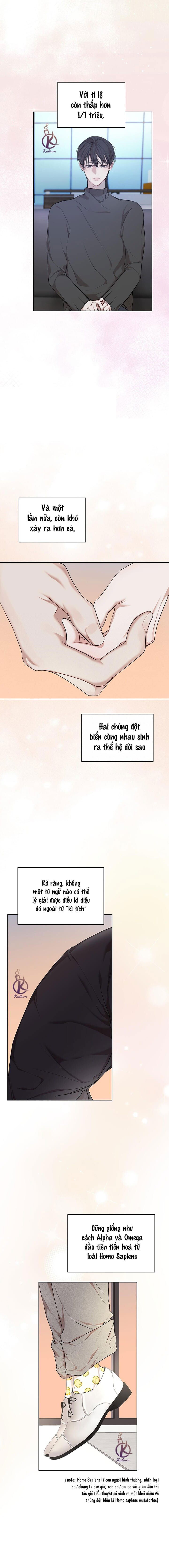 hình thái khởi sinh chapter 80 11