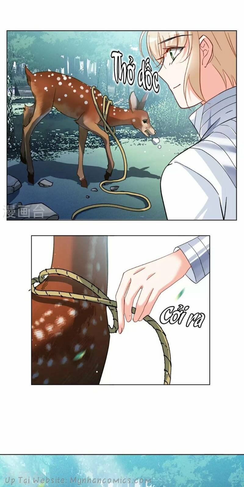 cô ấy đến rồi, xin nằm xuống! chapter 117 8