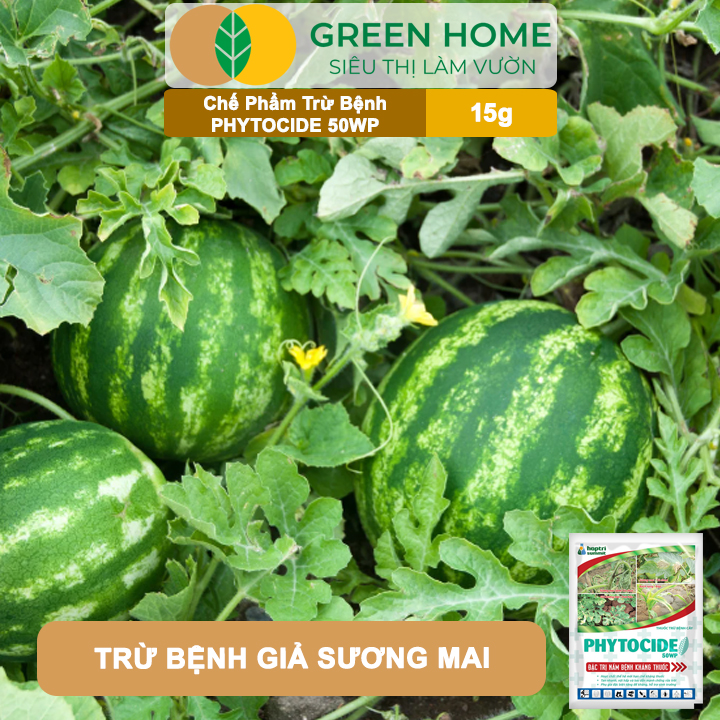 Chế Phẩm Trừ Bệnh Phytocide 50WP, Gói 15gr, Đặc Trị Nấm Bệnh Kháng Thuốc, Sương Mai, Hiệu Quả Cao