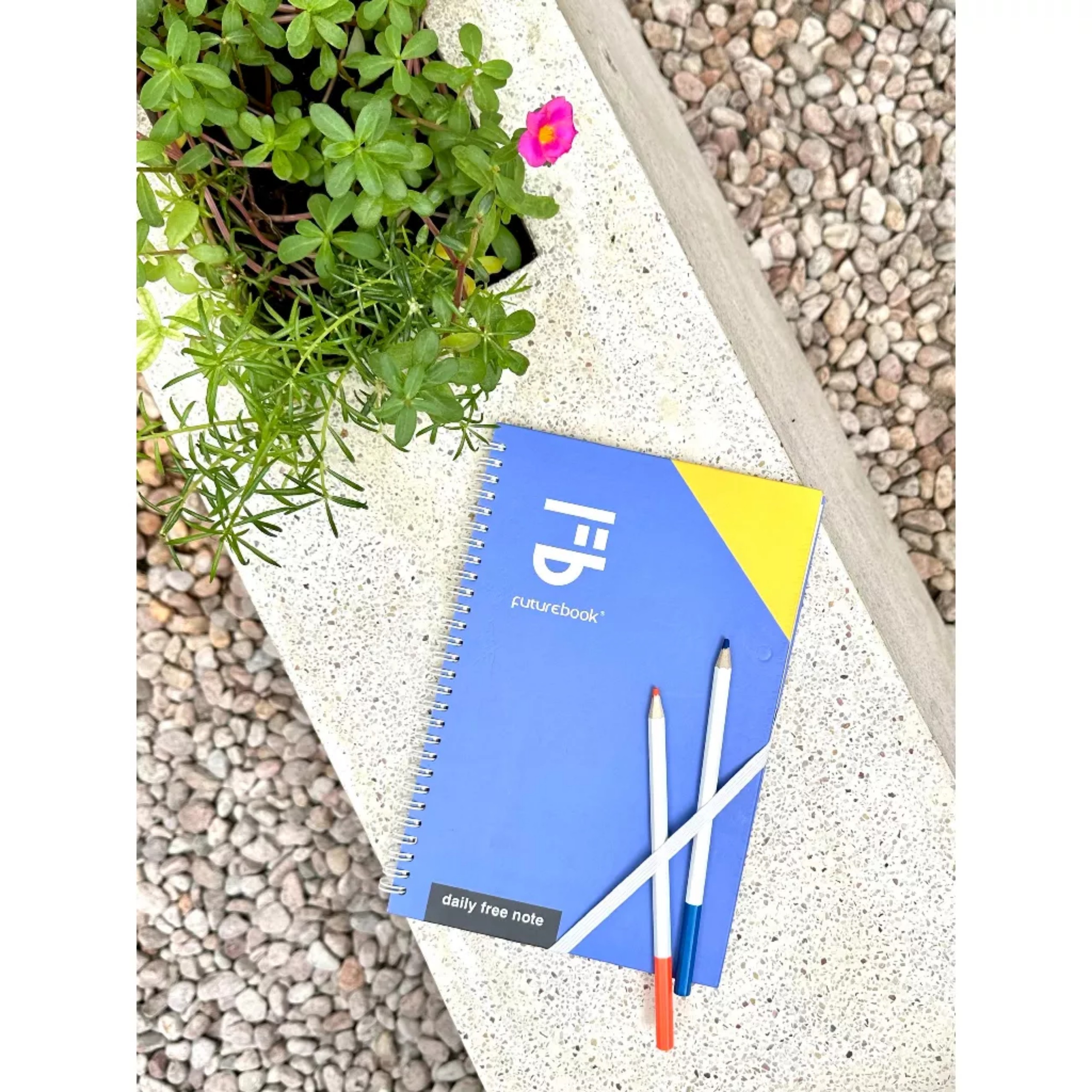 Sổ Lò Xo AICOLOR- B5- Dòng Kẻ Ngang- 85 Tờ- 80GSM. Mã SP: B5LX. Giao mẫu ngẫu nhiên. FUTUREBOOK.