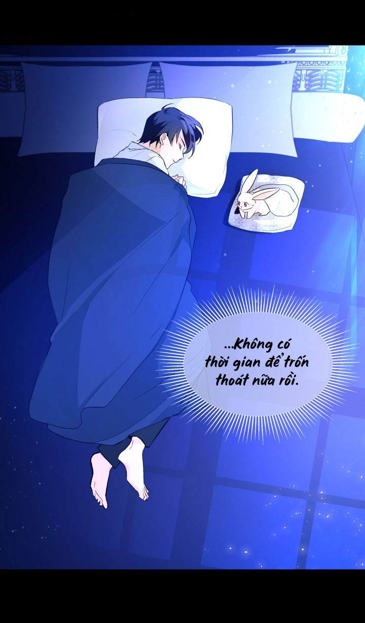 mối liên kết giữa báo đen và bé thỏ chapter 2 72