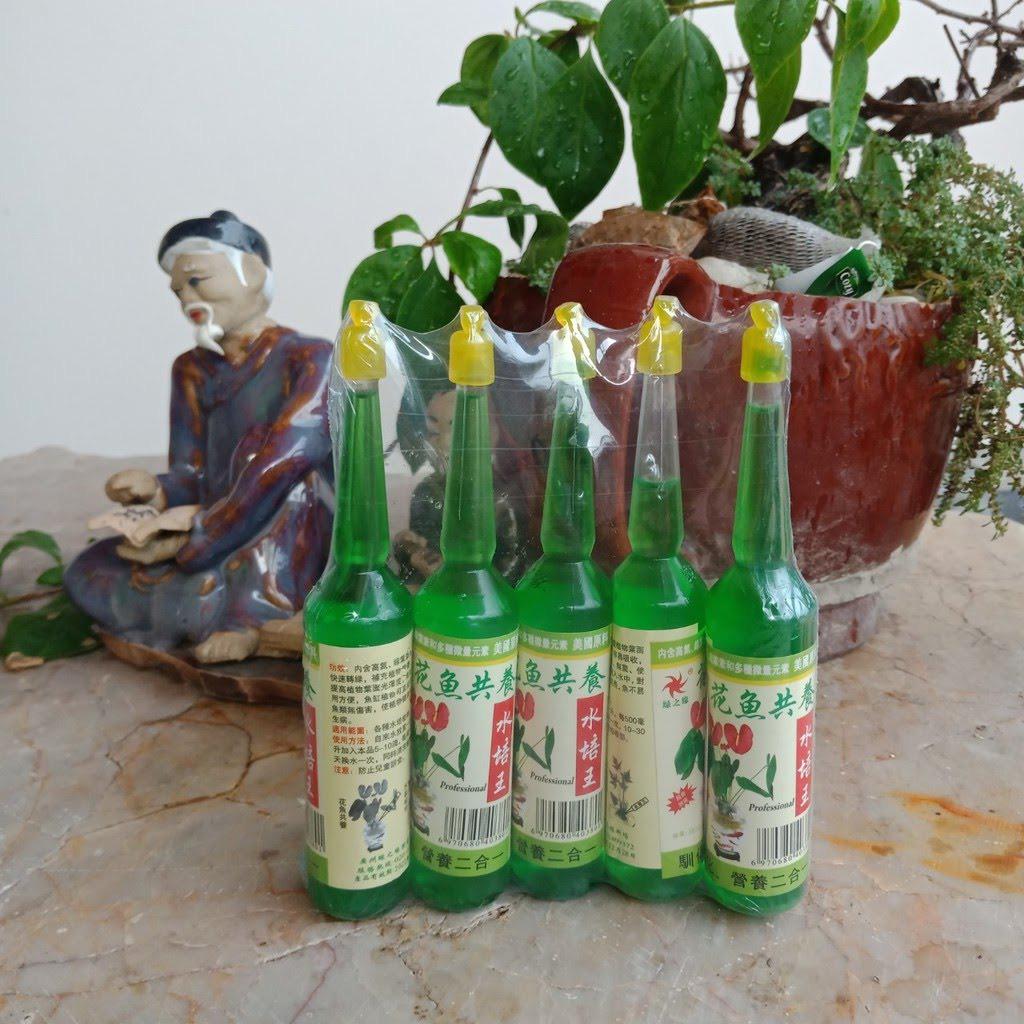 Combo 5 Lọ Dung Dịch Thủy Canh, Cung Cấp Dinh Dưỡng Trọn Vẹn Cho Hoa, Cây Thủy Sinh
