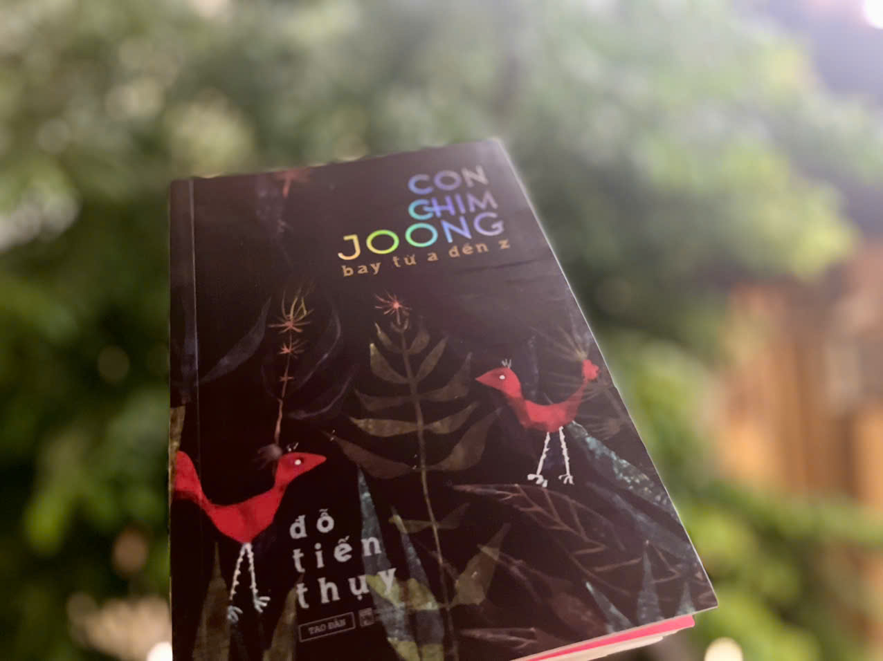 Con chim joong bay từ A đến Z