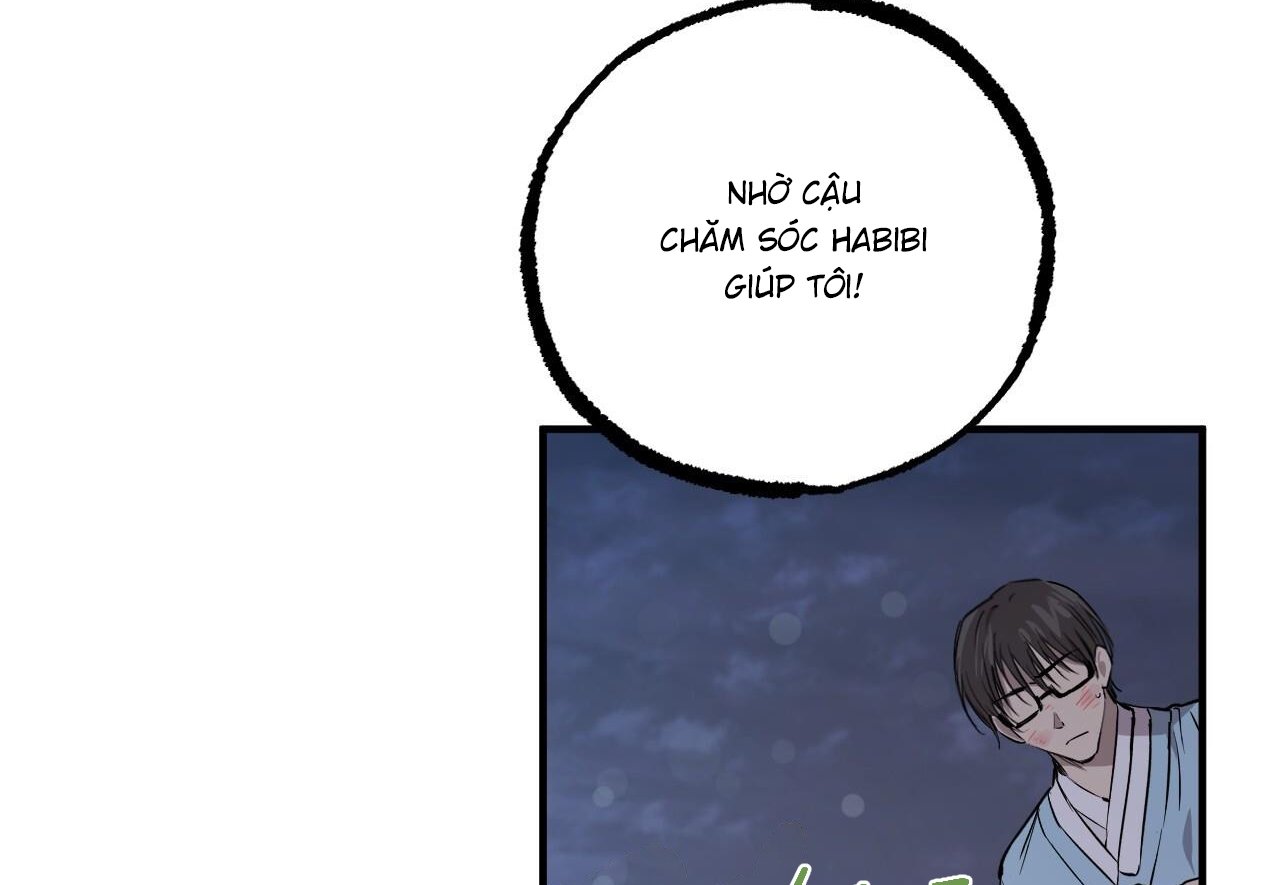 những chú thỏ của hapypy chapter 60 204