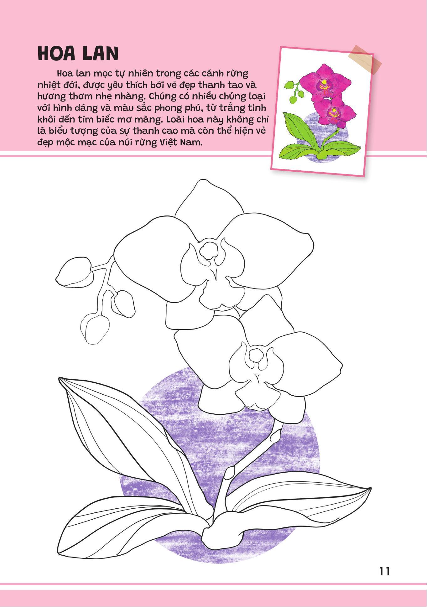 Sách - Yêu Quá Việt Nam - Các Loài Hoa