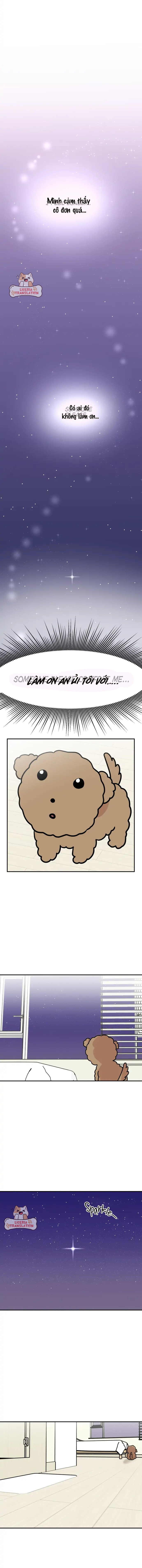 maru là một bé cún chapter 1 10