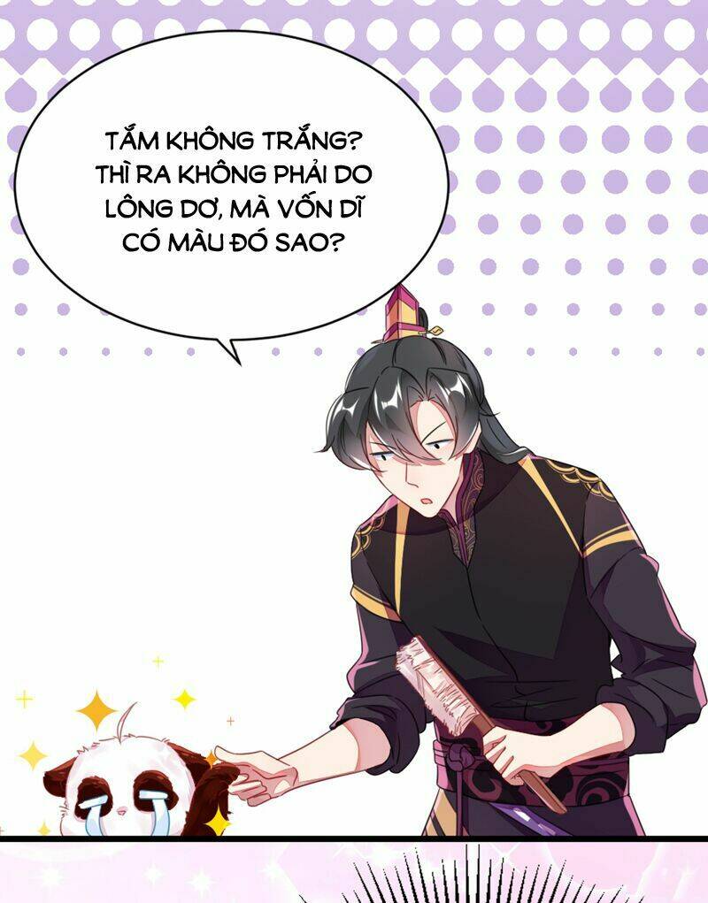 thiên thần gấu trúc muốn được ôm chapter 13 15