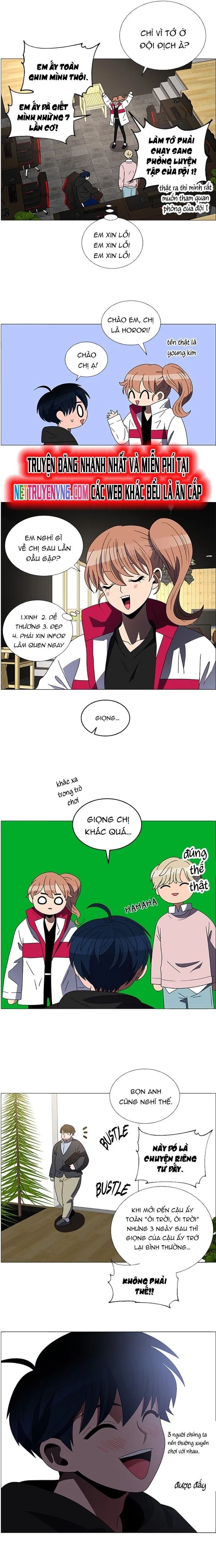 no scope chapter 151 13