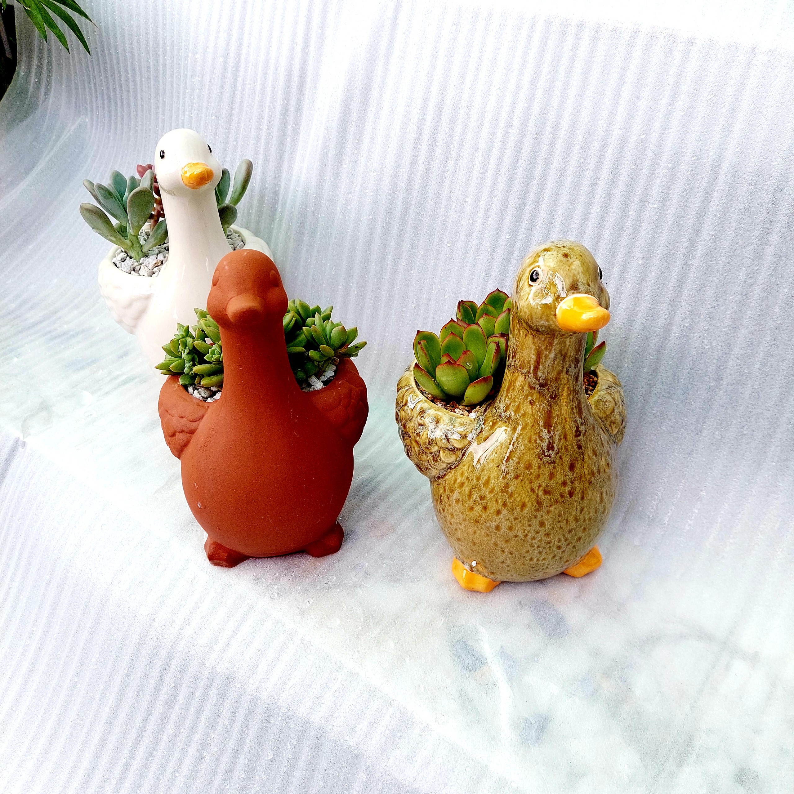 Chậu đất nung Bình Dương - Vịt thiếu nhi, miệng chậu 8cm, chiều cao 9cm tới lưng, 20cm tới đầu