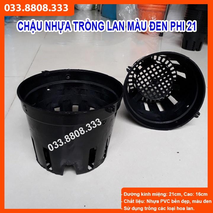 5 CHẬU NHỰA TRỒNG LAN ĐẸP PHI 21 - CHẬU BỀN ĐẸP. CHUYÊN TRỒNG LAN -VTNN - CTC