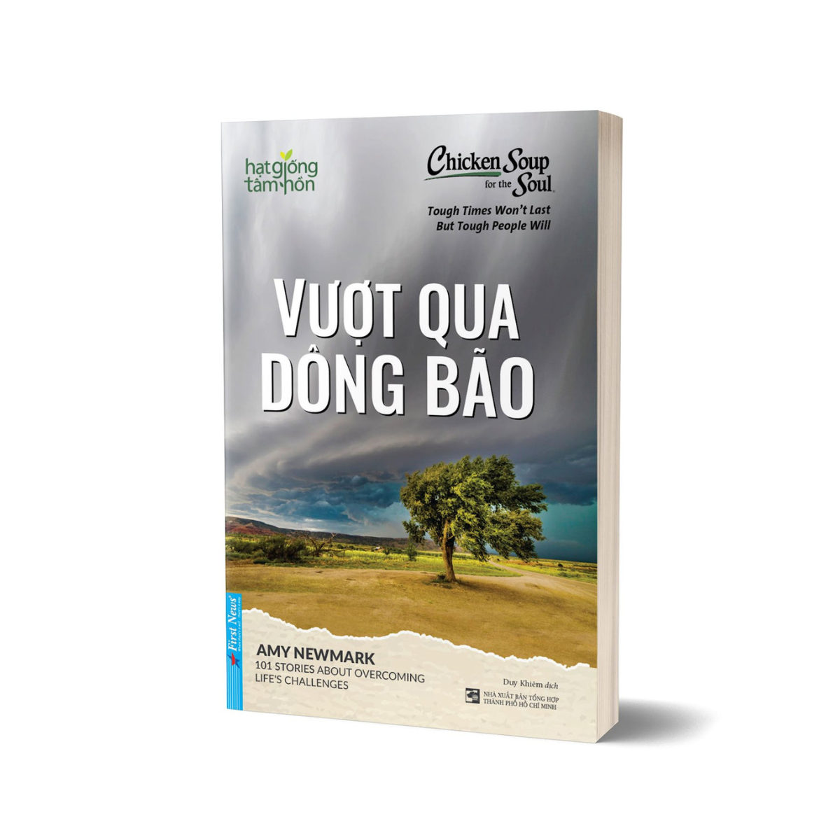 Hạt Giống Tâm Hồn - Vượt Qua Dông Bão