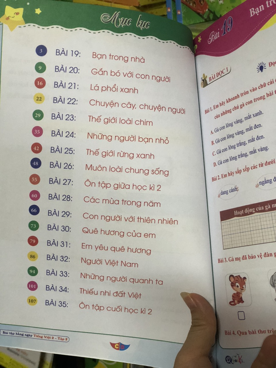 Sách - Combo Bài Tập Hằng Ngày - Toán và Tiếng Việt Lớp 2 - cánh diều - Tập 1, 2 (2 cuốn)