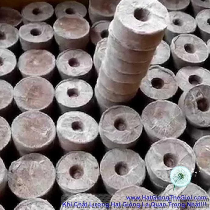 100 Viên Nén Nảy Mầm/ Viên Nén Xơ Dừa