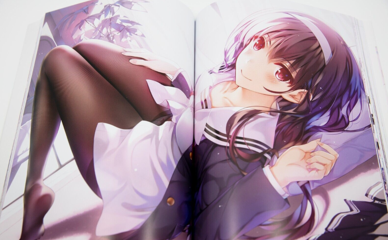 Kurehito Misaki Art Book: Saekano: How To Raise A Boring Girlfriend (Last Volume) Fine. (Japanese Edition)