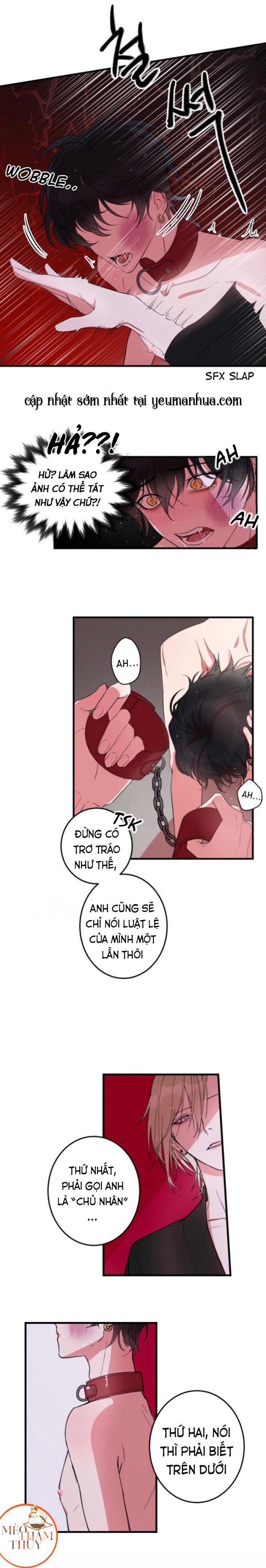 khẩu vị và sự tôn thờ của người yêu tôi chapter 4 2