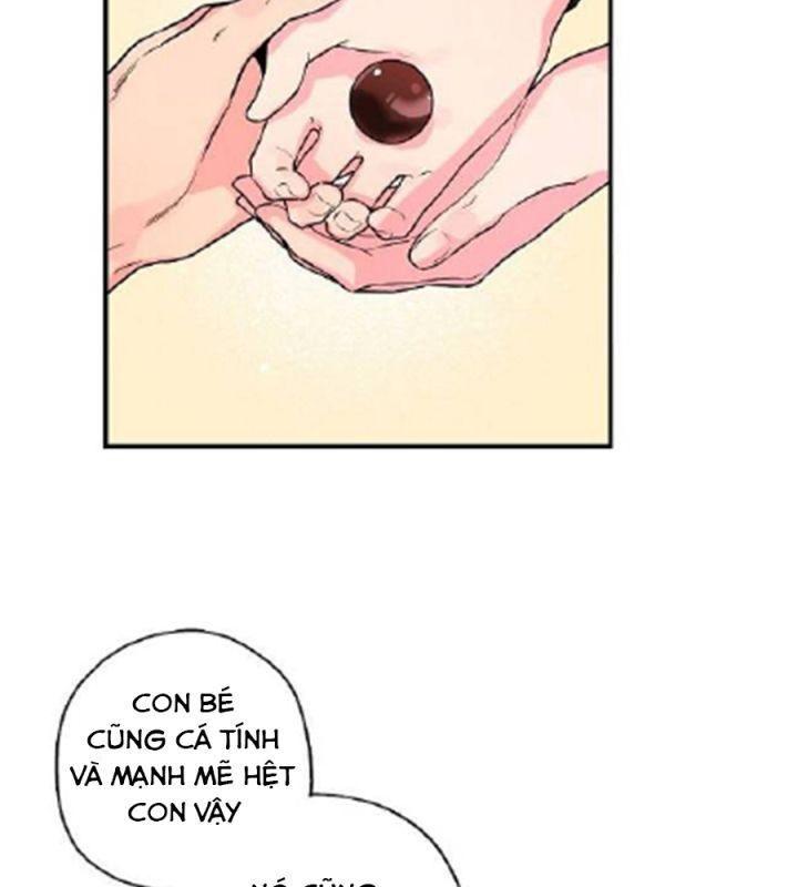 tôi là người mạnh nhất khi theo chủ nghĩa võ thuật chapter 15 28