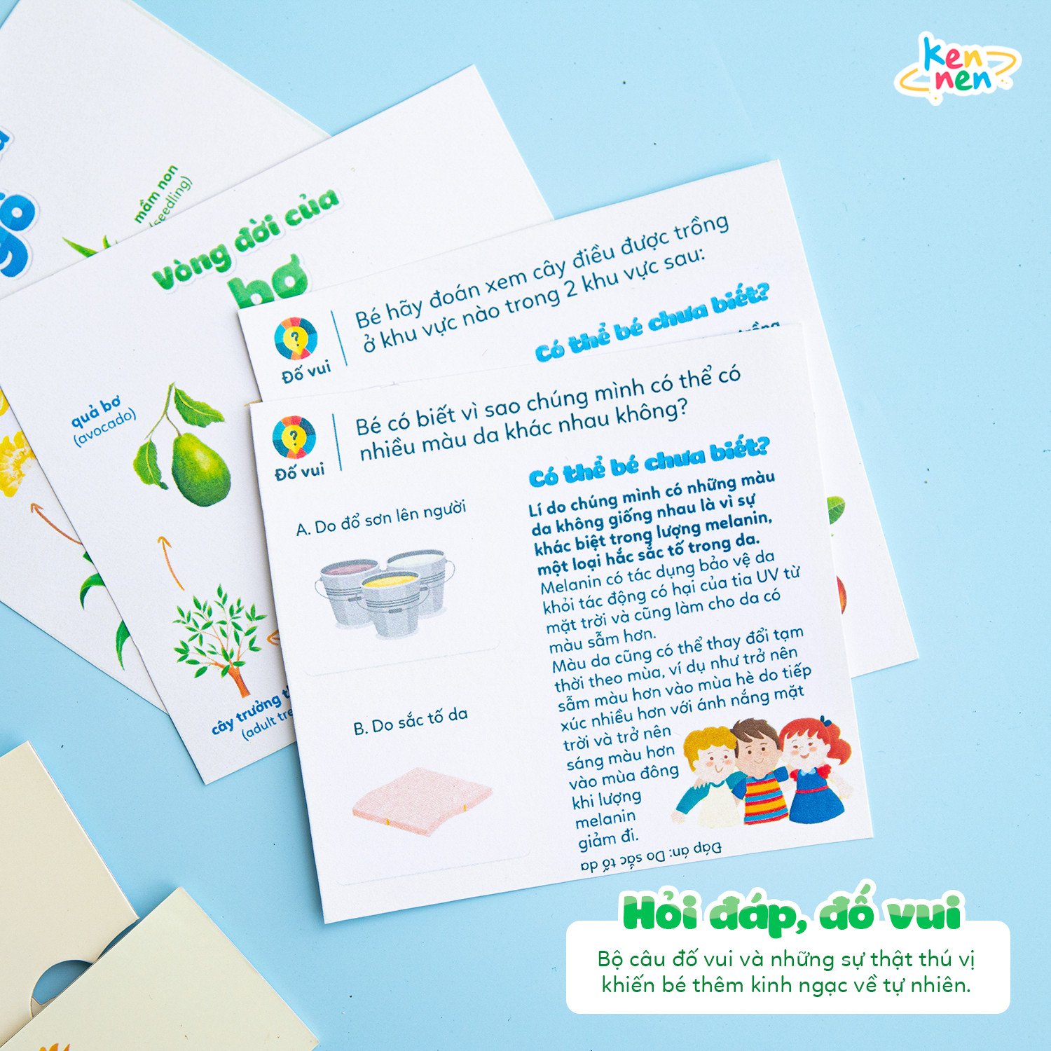 Kennen Match it - Puzzle học chữ và đánh vần Tiếng Việt 5in1 và học các Kỹ năng sống, Vòng đời của sự sống - Dành cho bé từ 3 tuổi