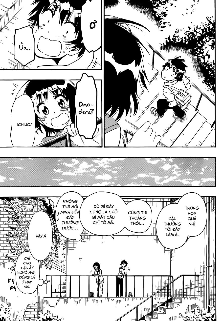 nisekoi - tình yêu giả tạo chapter 123 14