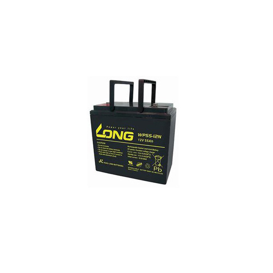 Ắc Quy LONG 12V 55Ah WP55-12N - (PDC-TECH)