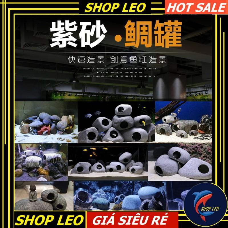 Hang cá ali - hang pleco - trang trí bể tép - bể thủy sinh - hồ cá cảnh