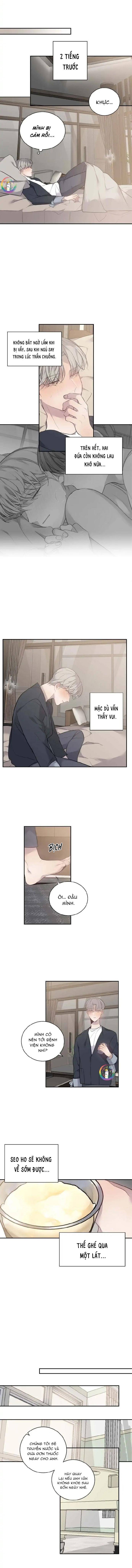 sao notp lại thành thật rồi? chapter 37 6