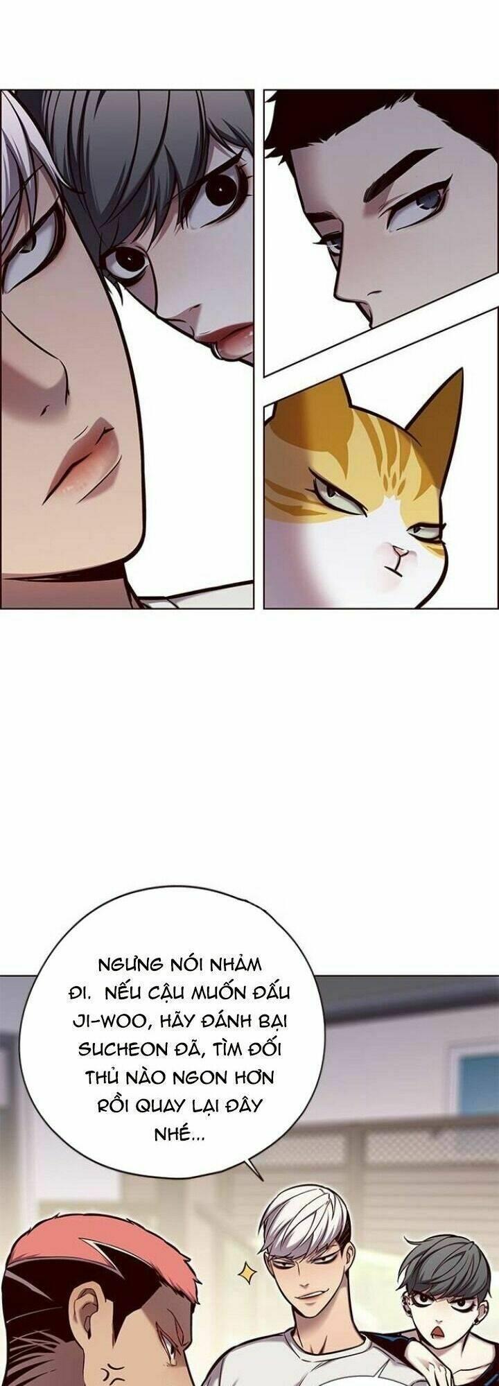 biến thân thành mèo chapter 124 44