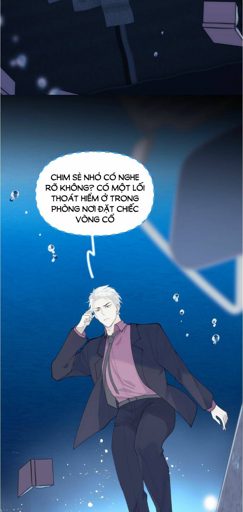 dù là sói cô độc cũng có tình yêu của sẻ nhỏ chapter 22 22